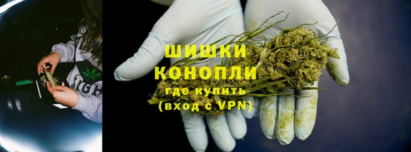 PSILOCYBIN Аркадак