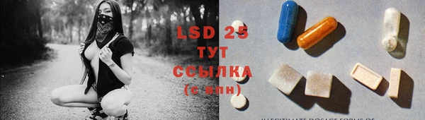PSILOCYBIN Аркадак