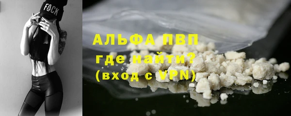 PSILOCYBIN Аркадак