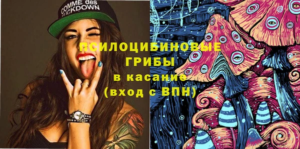 PSILOCYBIN Аркадак