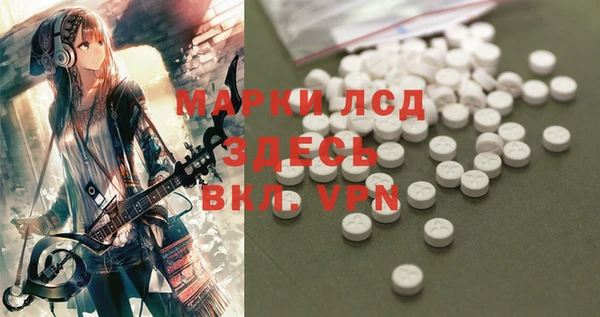 PSILOCYBIN Аркадак