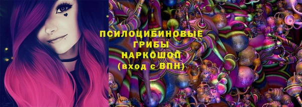 прущий лед Арсеньев
