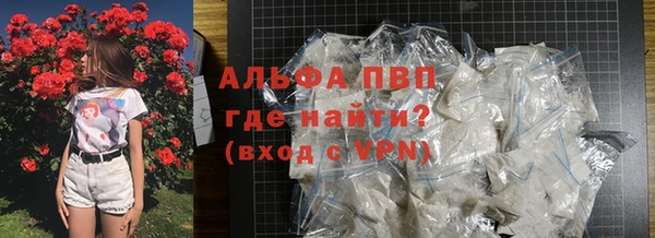 PSILOCYBIN Аркадак